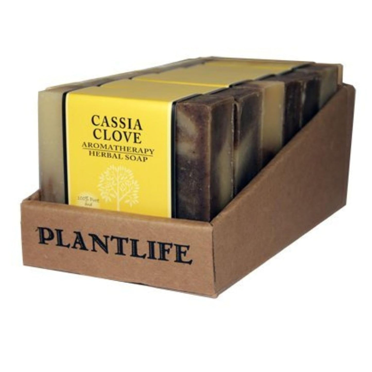 Cassia Clove Bar Soap