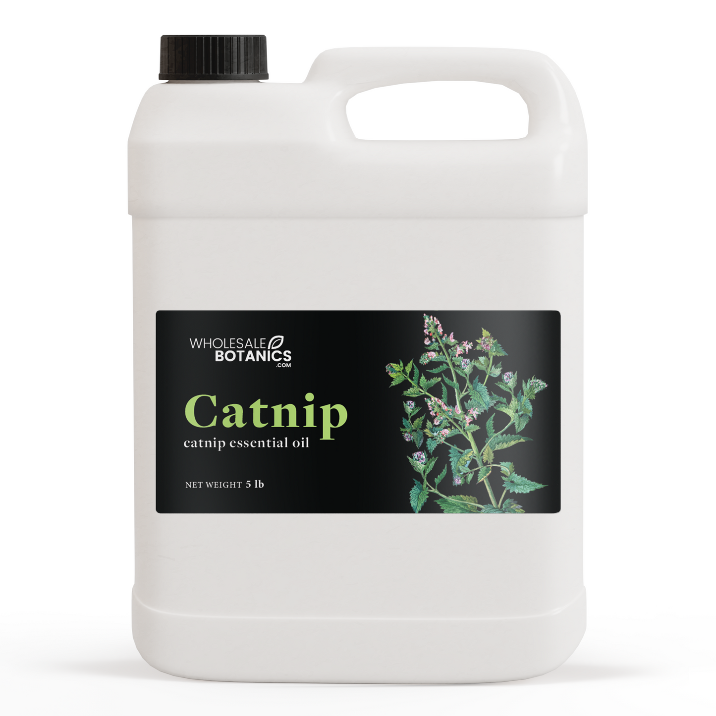 Catnip Essential Oil