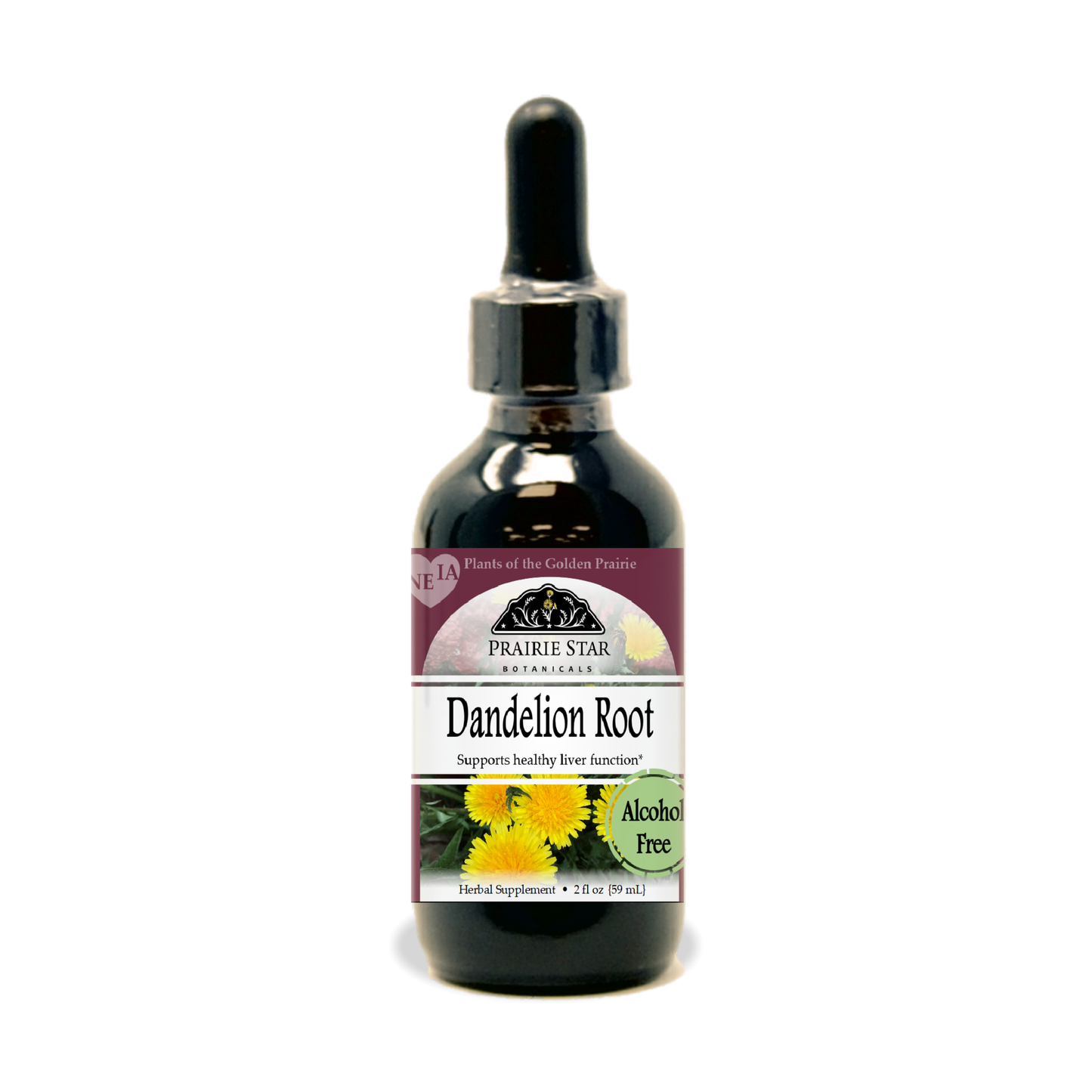 Dandelion