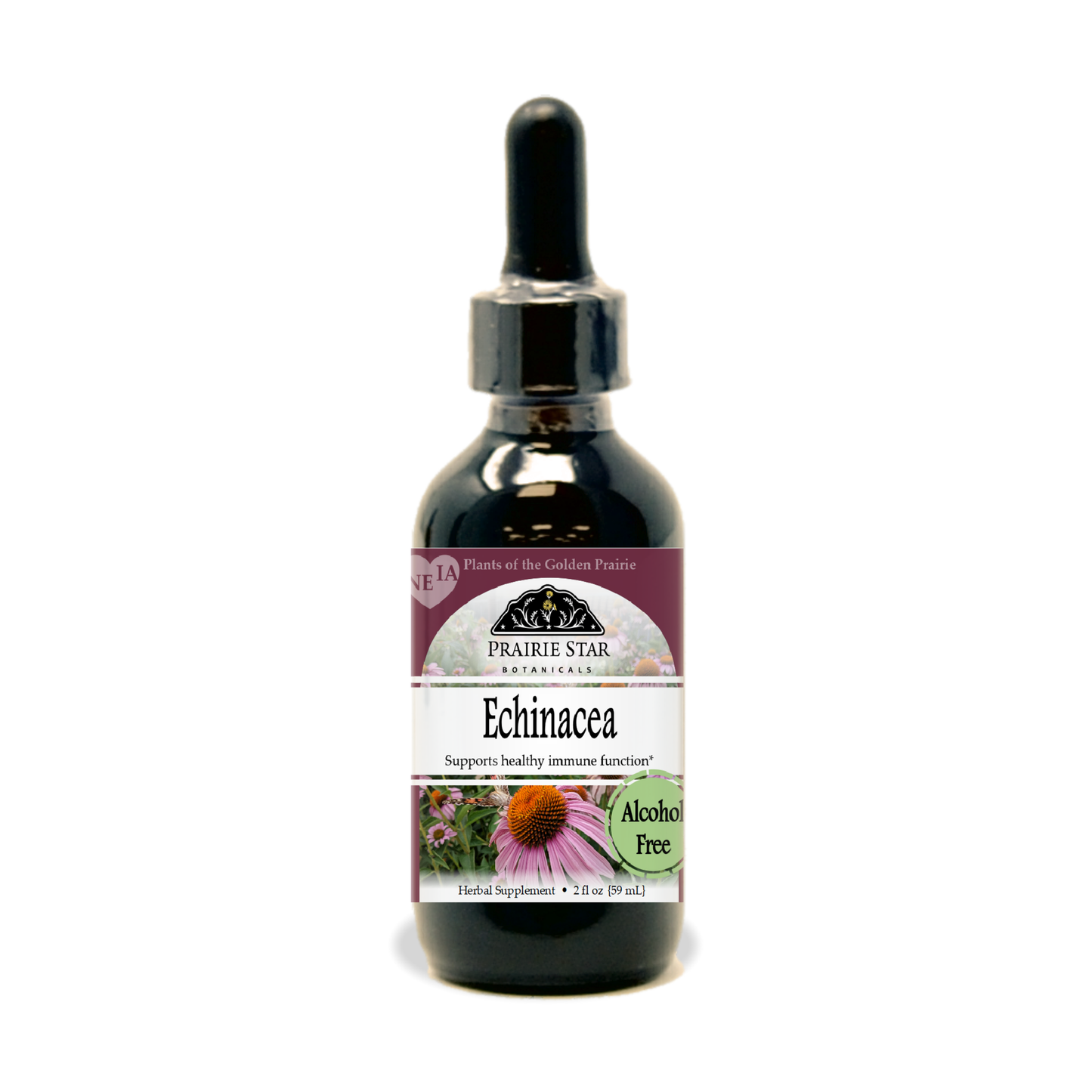 Echinacea