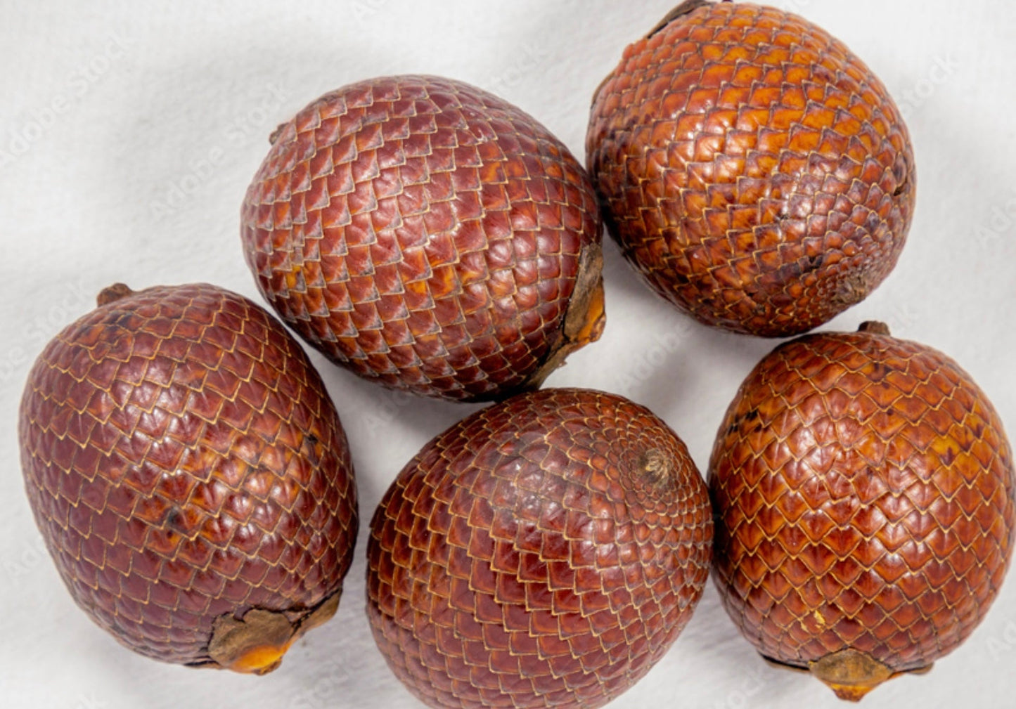 Buriti Fruit Oil - Virgin