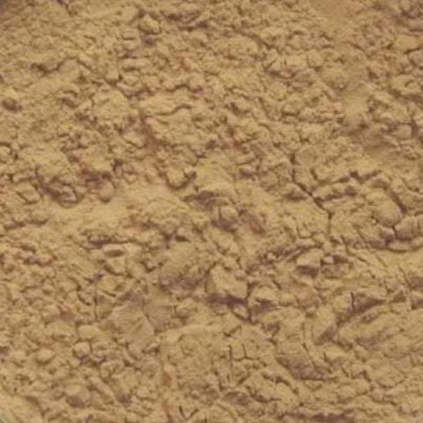 Mango Seed Extract Powder *Clearance*