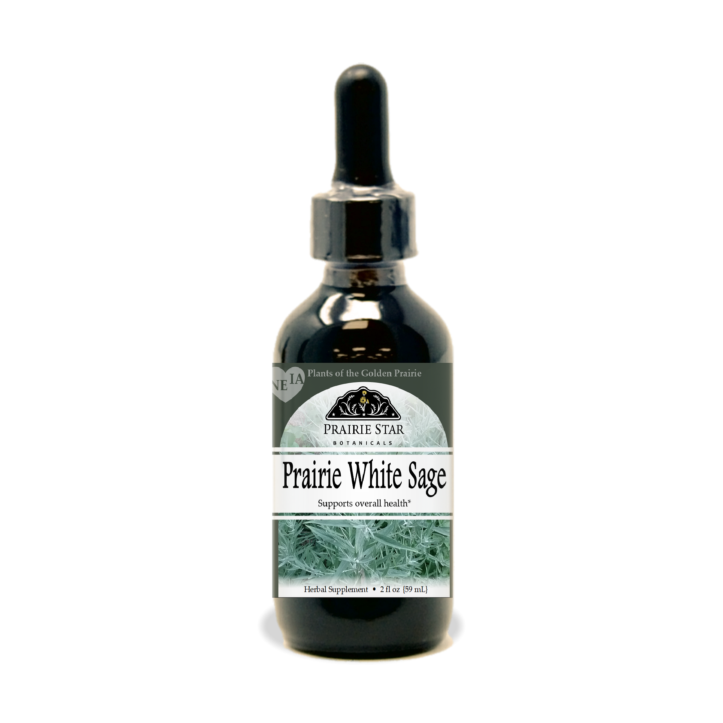 Prairie White Sage