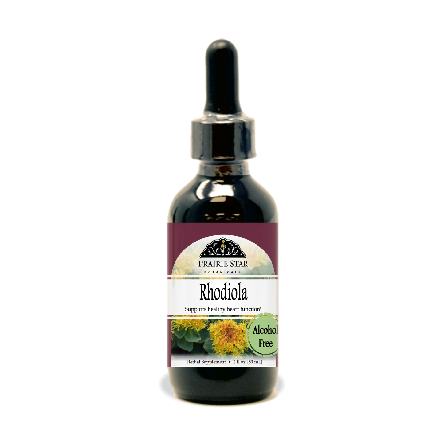 Rhodiola