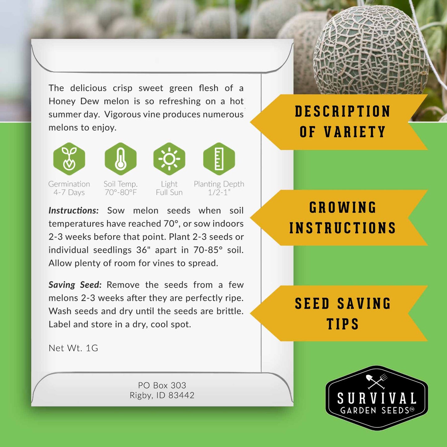 Melon Seed Collection - 6 Melons and Cantaloupes