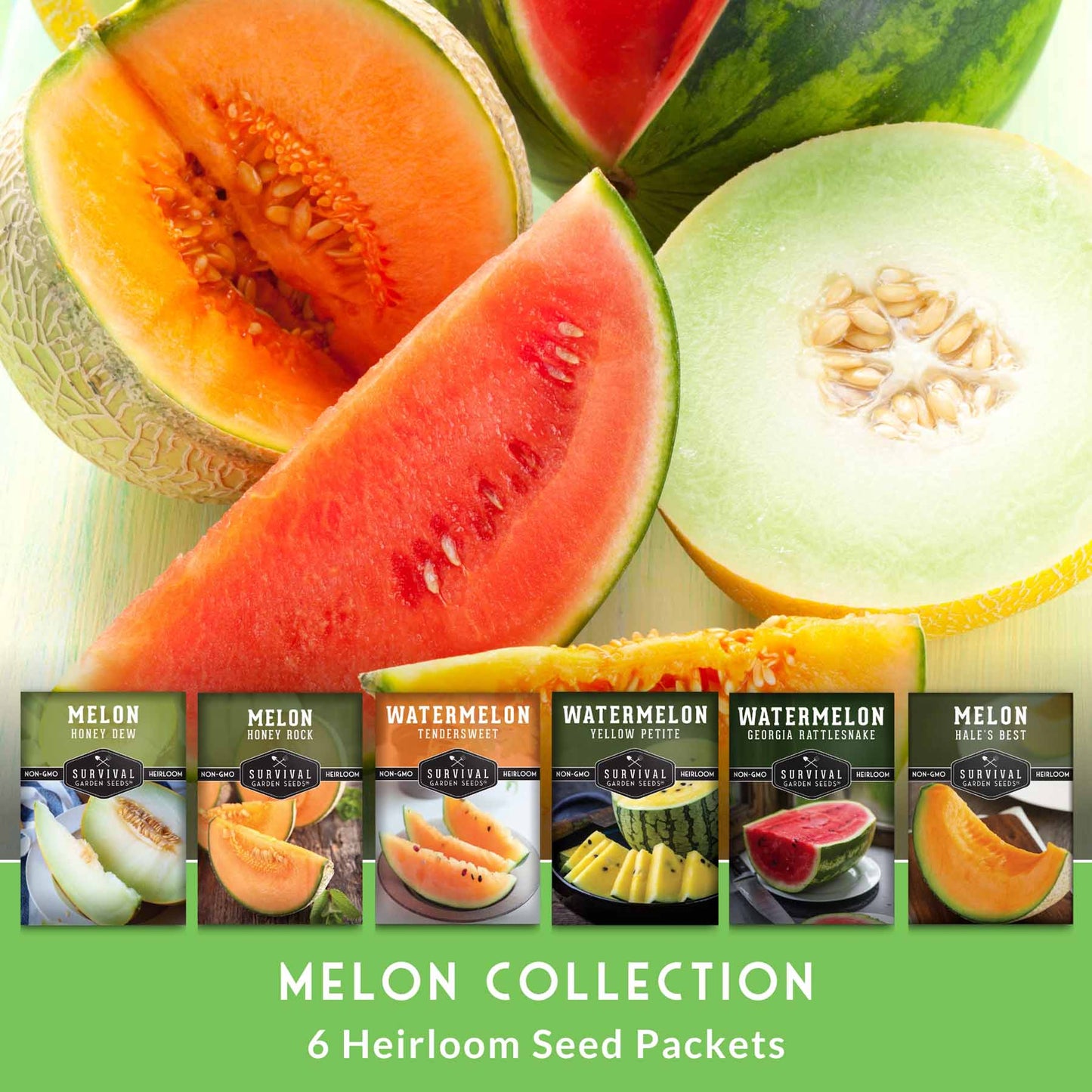 Melon Seed Collection - 6 Melons and Cantaloupes