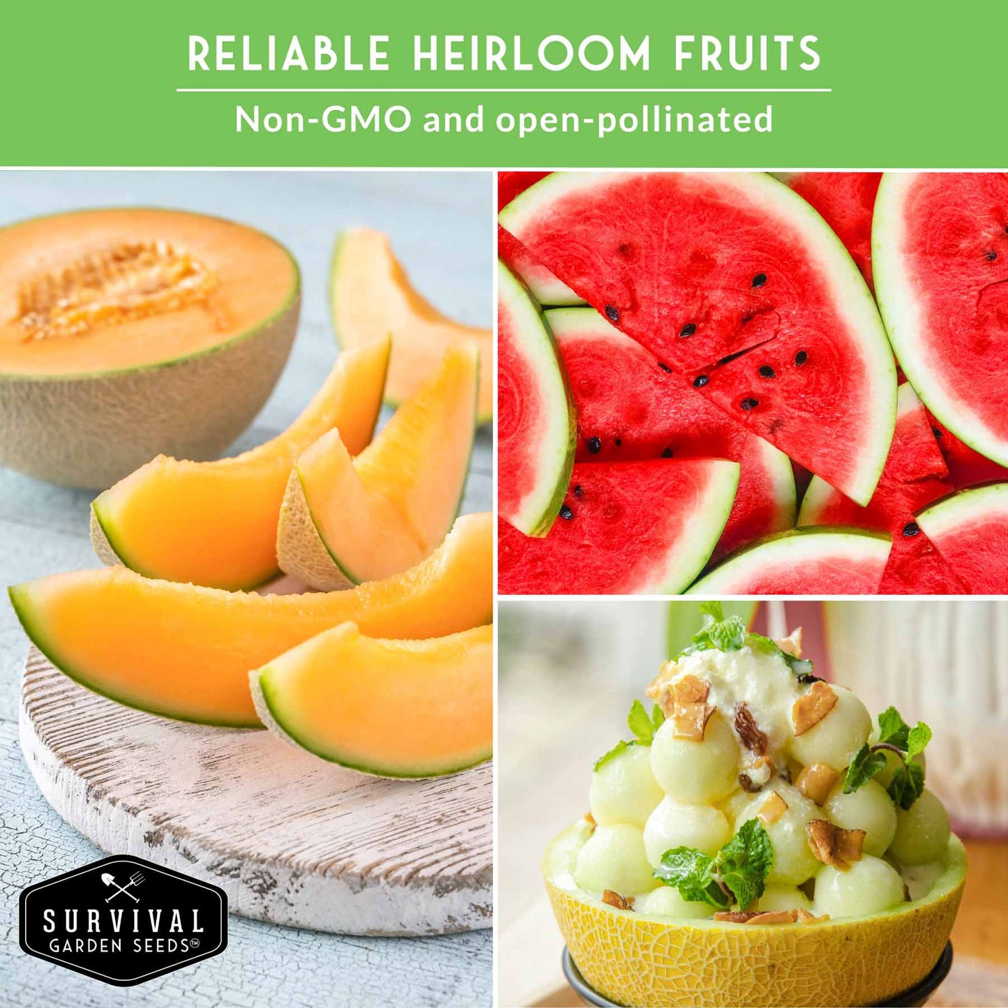 Melon Seed Collection - 6 Melons and Cantaloupes