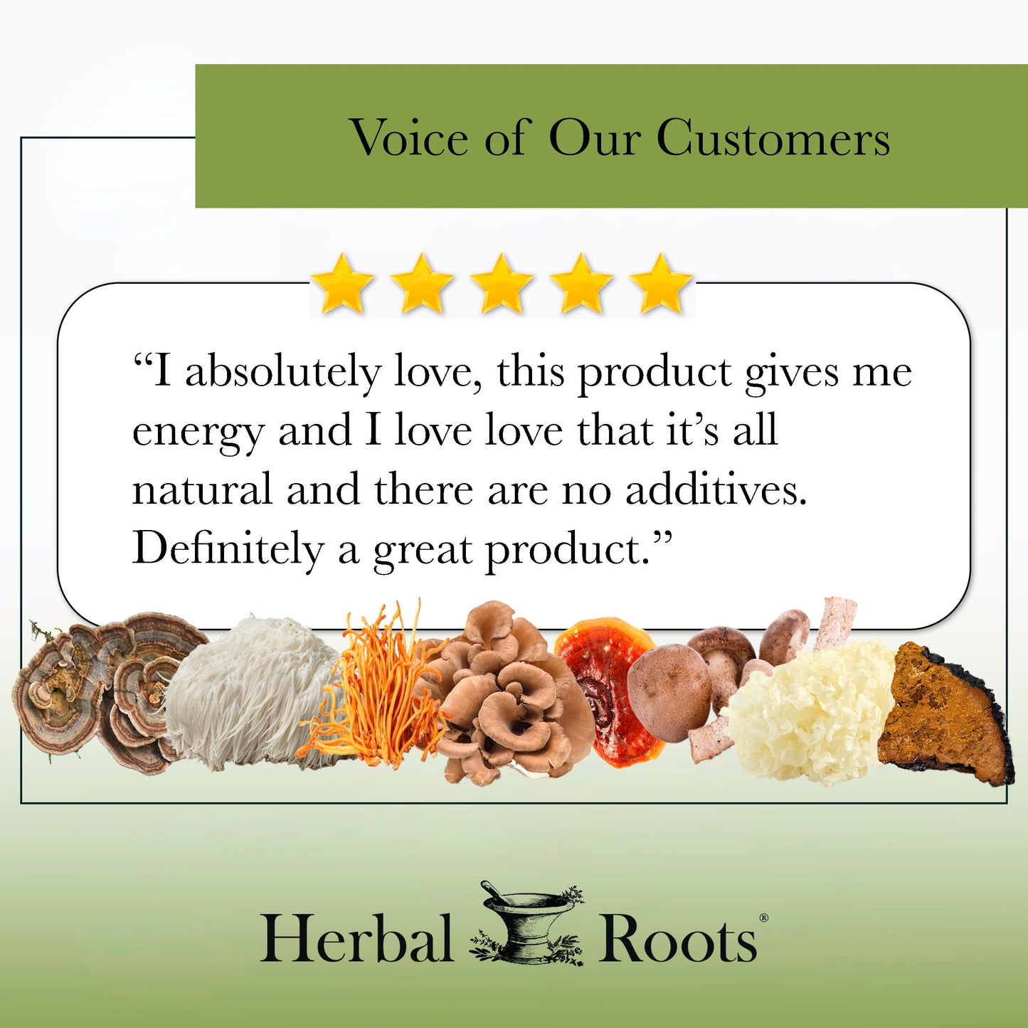 Organic Mushrooms Blend