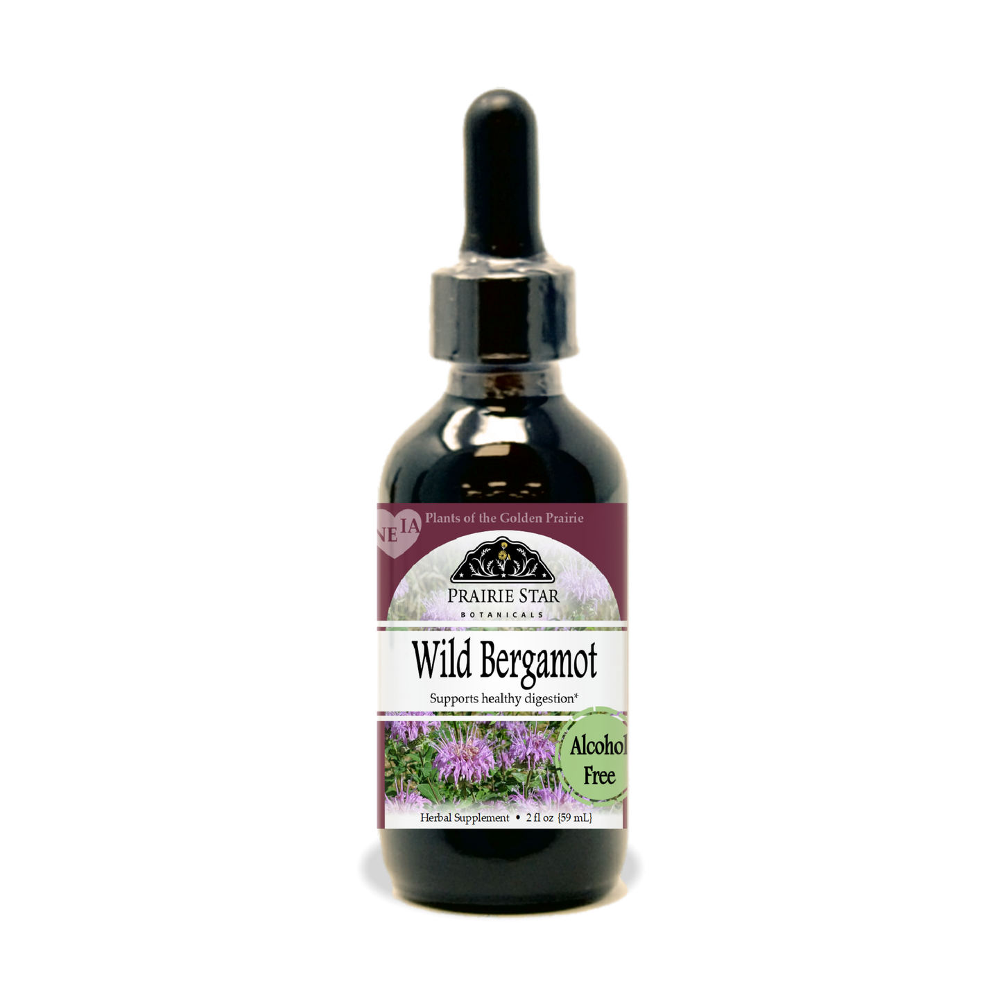 Wild Bergamot