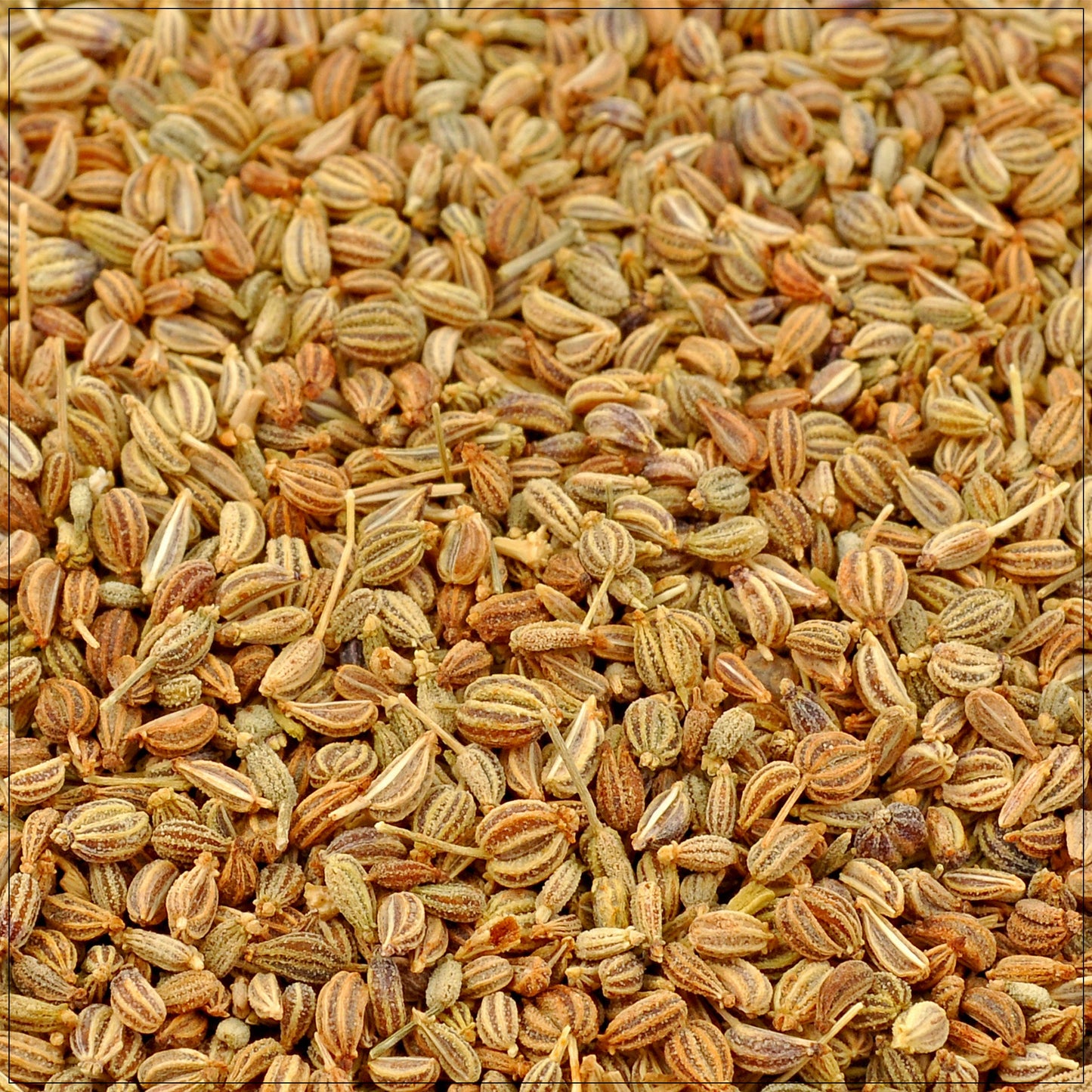 Ajwain Seeds