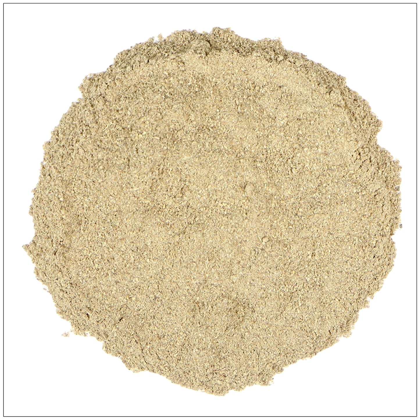 Dong Quai Root Powder