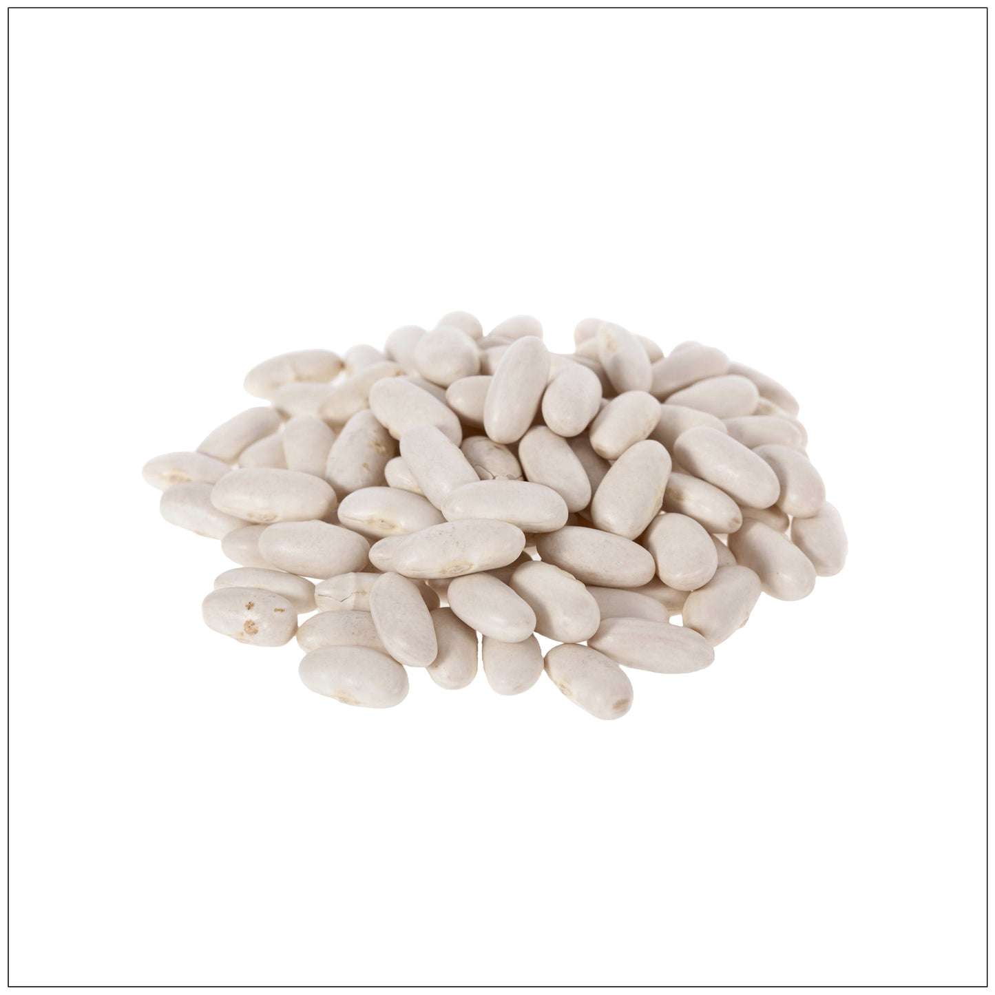 Dried cannellini beans