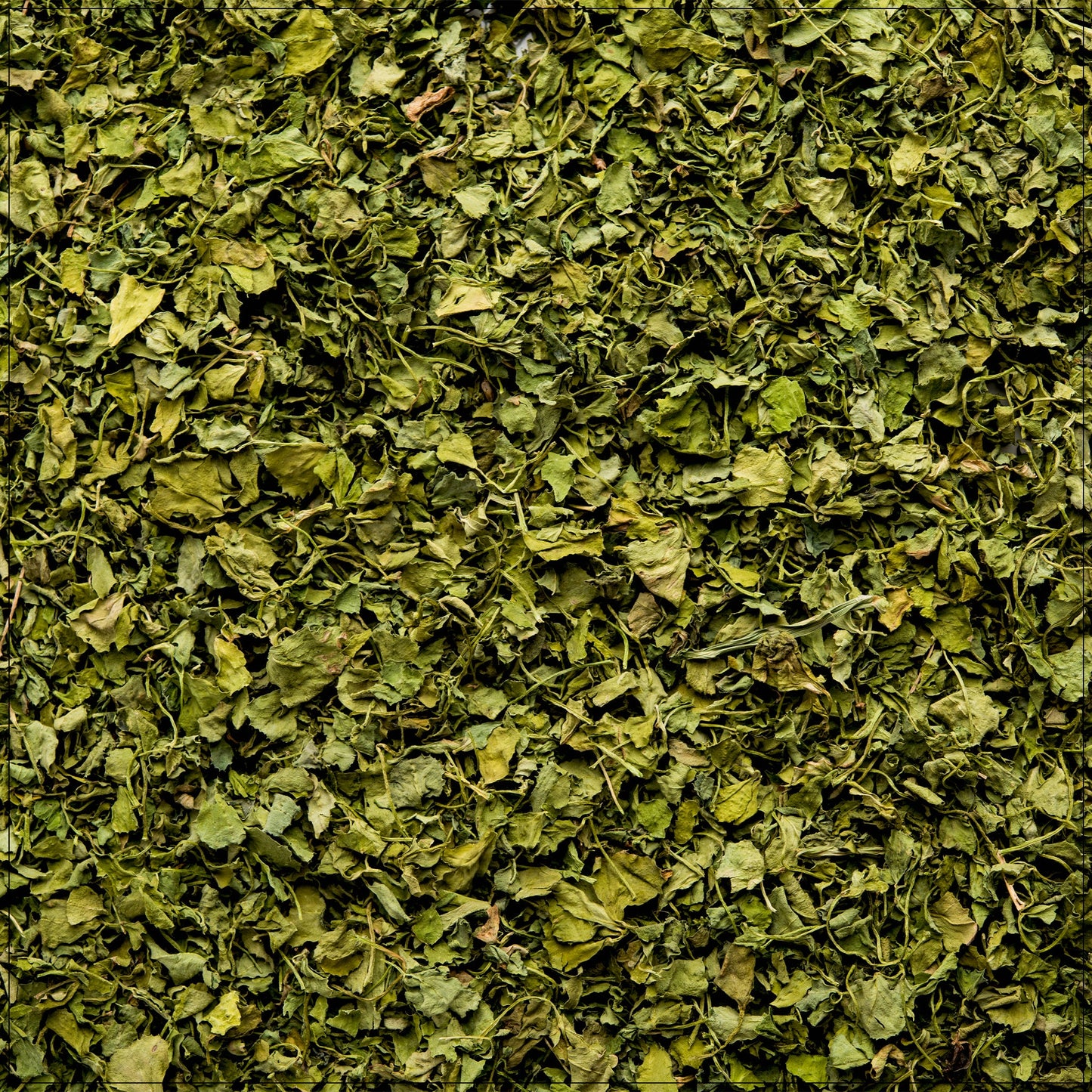 Dried Fenugreek Leaves