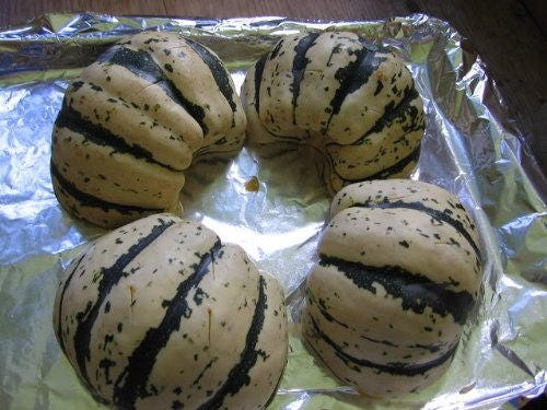 15 HEART Of GOLD Acorn SQUASH Winter Cucurbita Pepo Vegetable Seeds