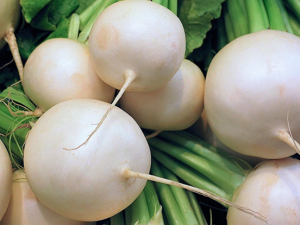 500 Hailstone WHITE GLOBE RADISH Raphanus Sativus Vegetable Seeds