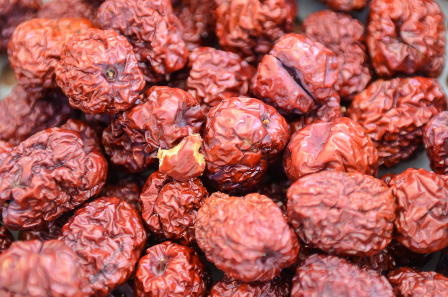 20 ASIAN DATE Jujube Ziziphus Spinosa Common Chinese Tsao Red Fruit Tree Seeds