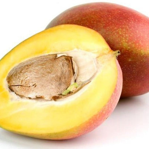 Mango Fruit Extract Powder