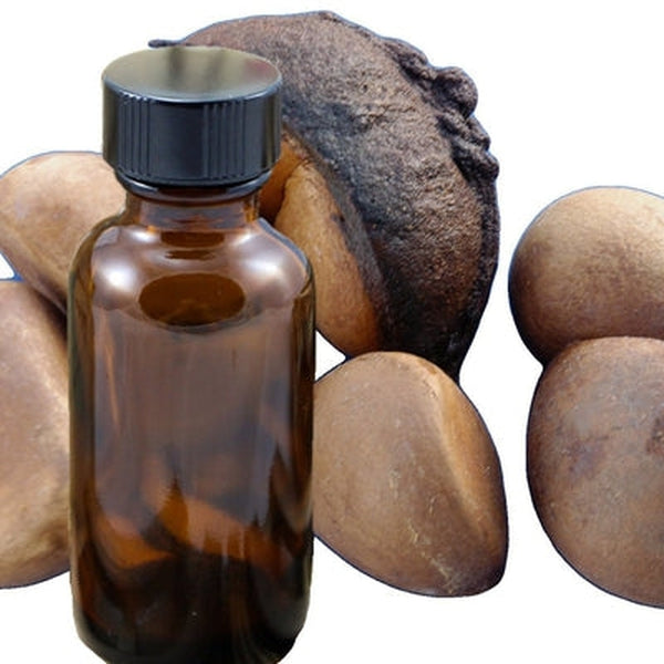 Andiroba Oil - Virgin *Clearance*