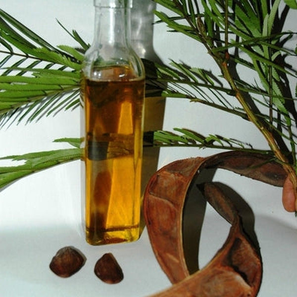 Pracaxi Seed Oil - Virgin
