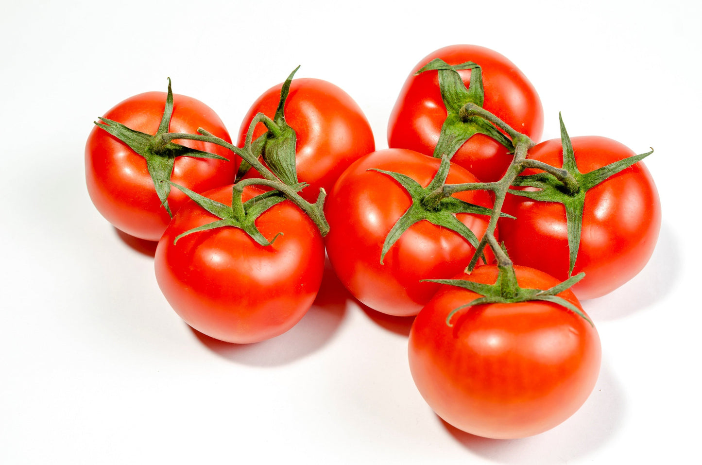 80 Sub ARCTIC PLENTY TOMATO Solanum Lycopersicum Red Determinate Heirloom Fruit Vegetable Seeds
