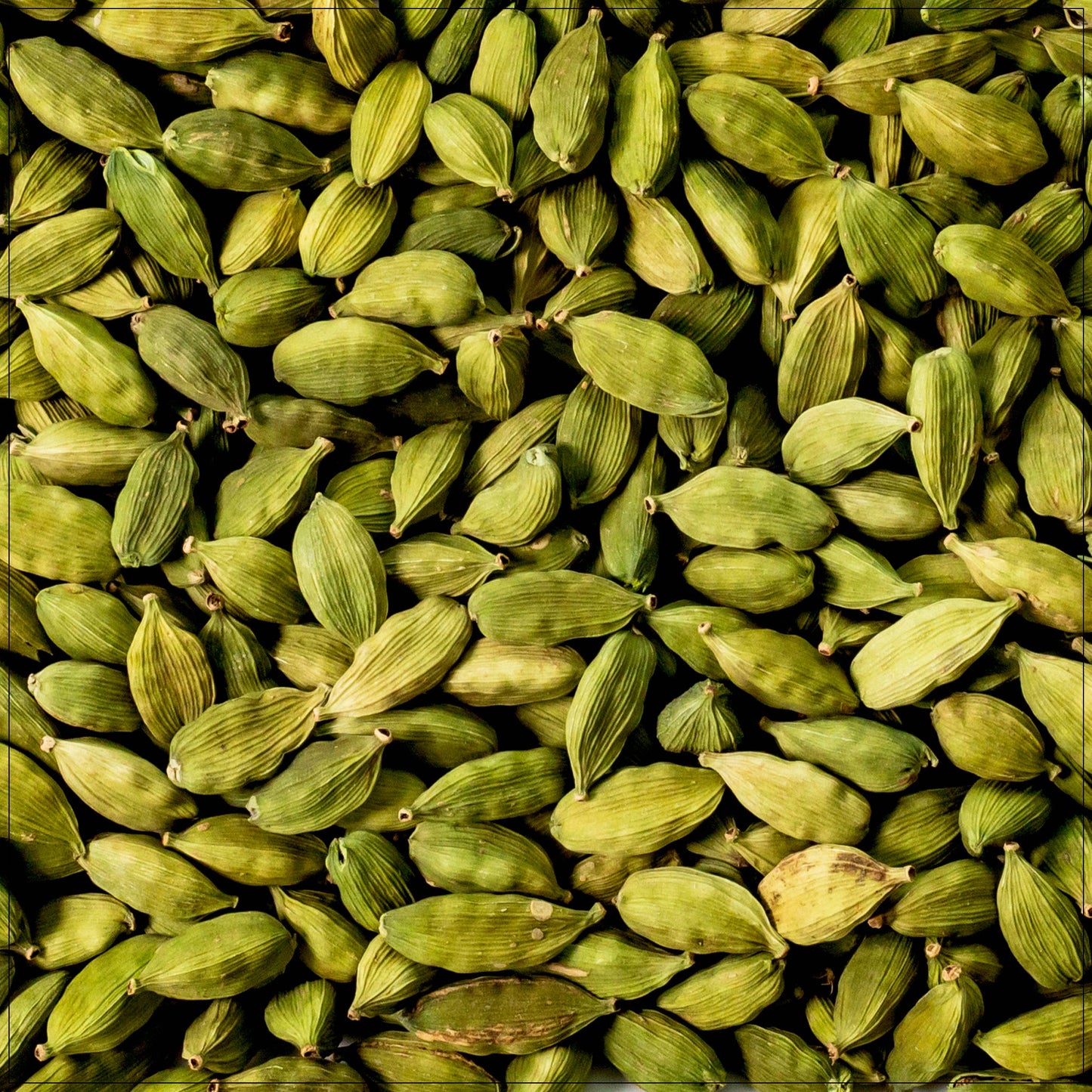 Cardamom Seeds