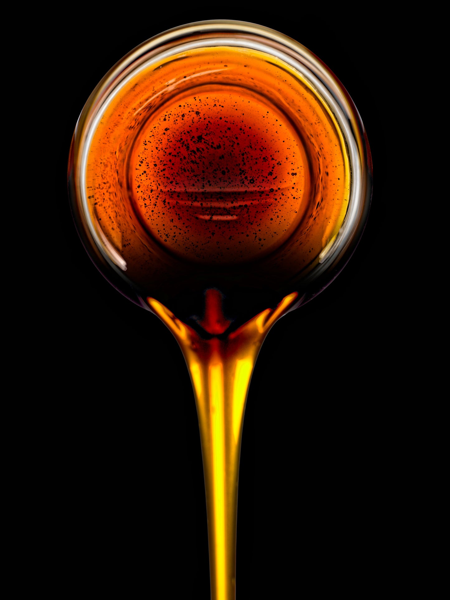 70 SUGAR DRIP SORGHUM Amber Cane Grain Sweet Syrup Vegetable Seeds