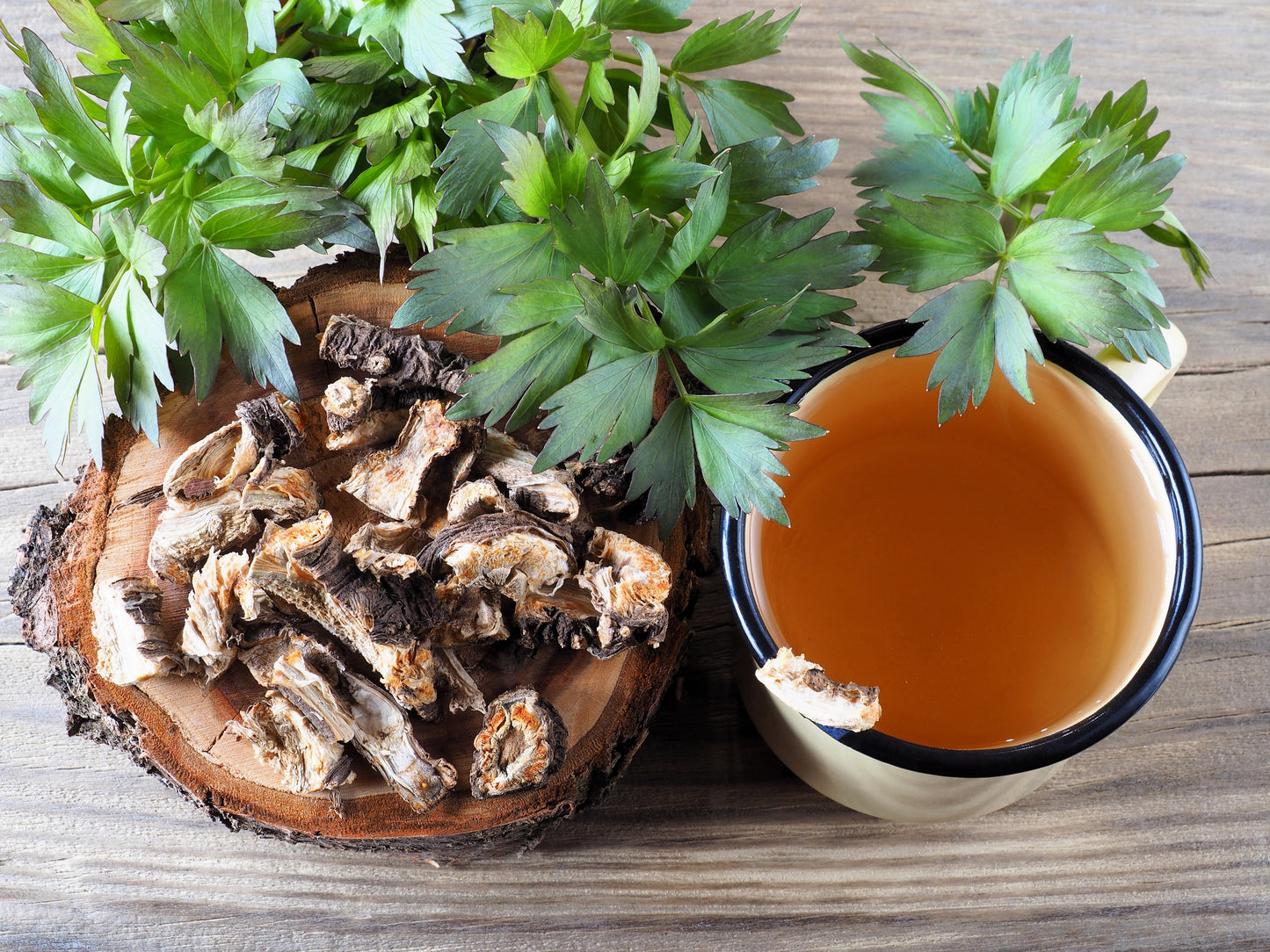 50 LOVAGE Levistucum Officinale - Flavor like celery & anise - Herb Flower Seeds