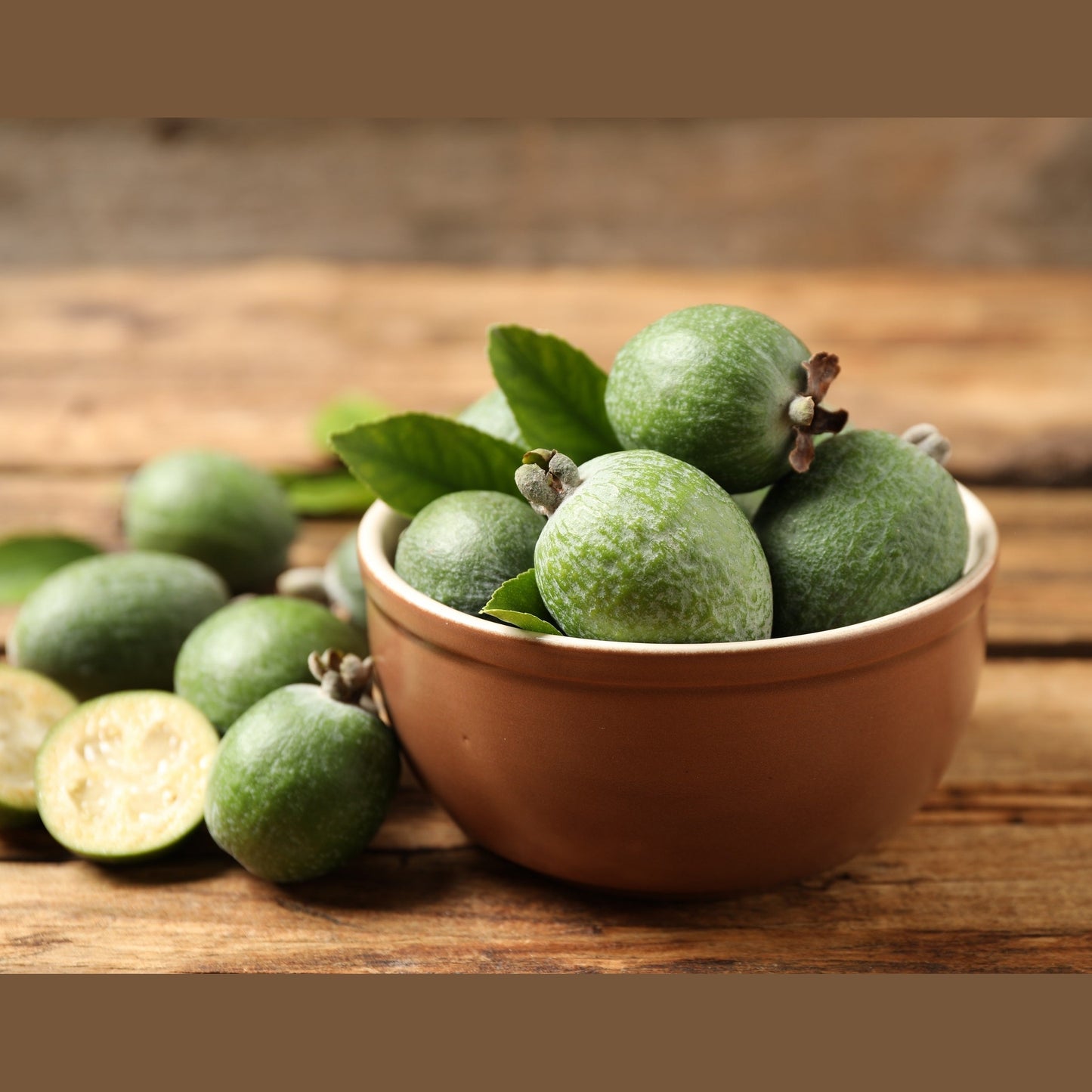 10 PINEAPPLE GUAVA Fruit Acca Guavasteen Brazilian or Fig Guava Feijoa Sellowiana Pink Red Flower Tree Shrub Seeds