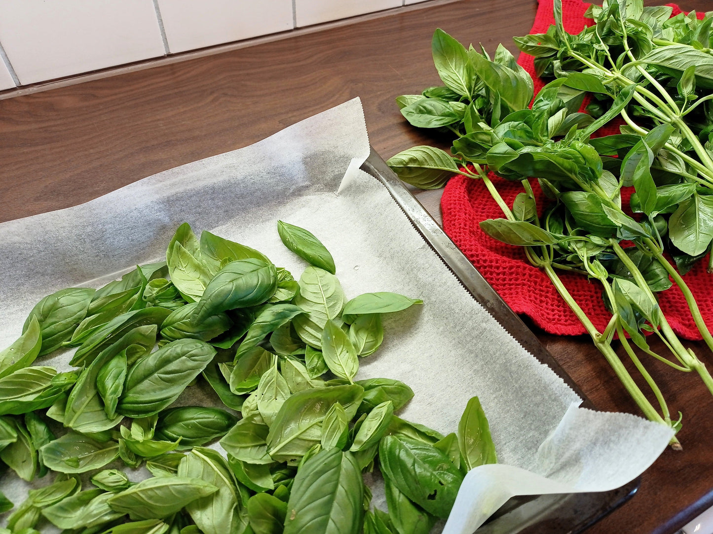 2000 SWEET GENOVESE BASIL Ocimum Basilicum Herb Flower Seeds