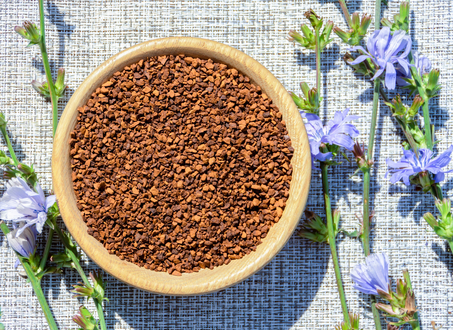 1000 CHICORY (Blue Daisy / Blue Sailors / Coffeeweed / Succory) Chicorium Cicorium Intybus Flower Herb Seeds