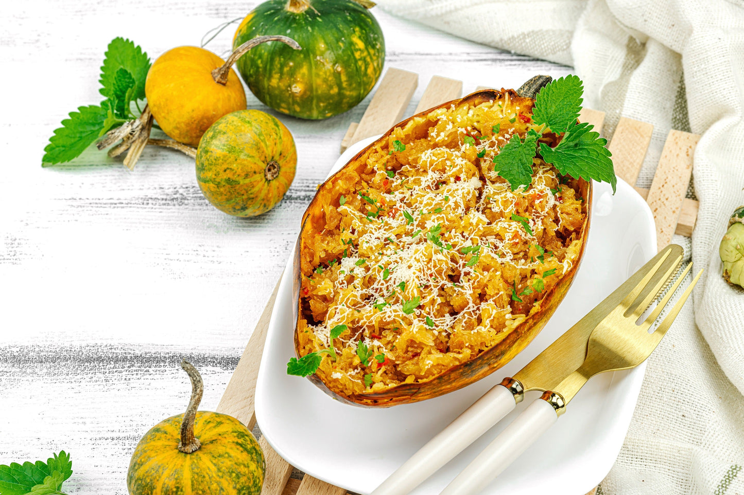 50 VEGETABLE SPAGHETTI SQUASH Winter Cucurbita Pepo Seeds