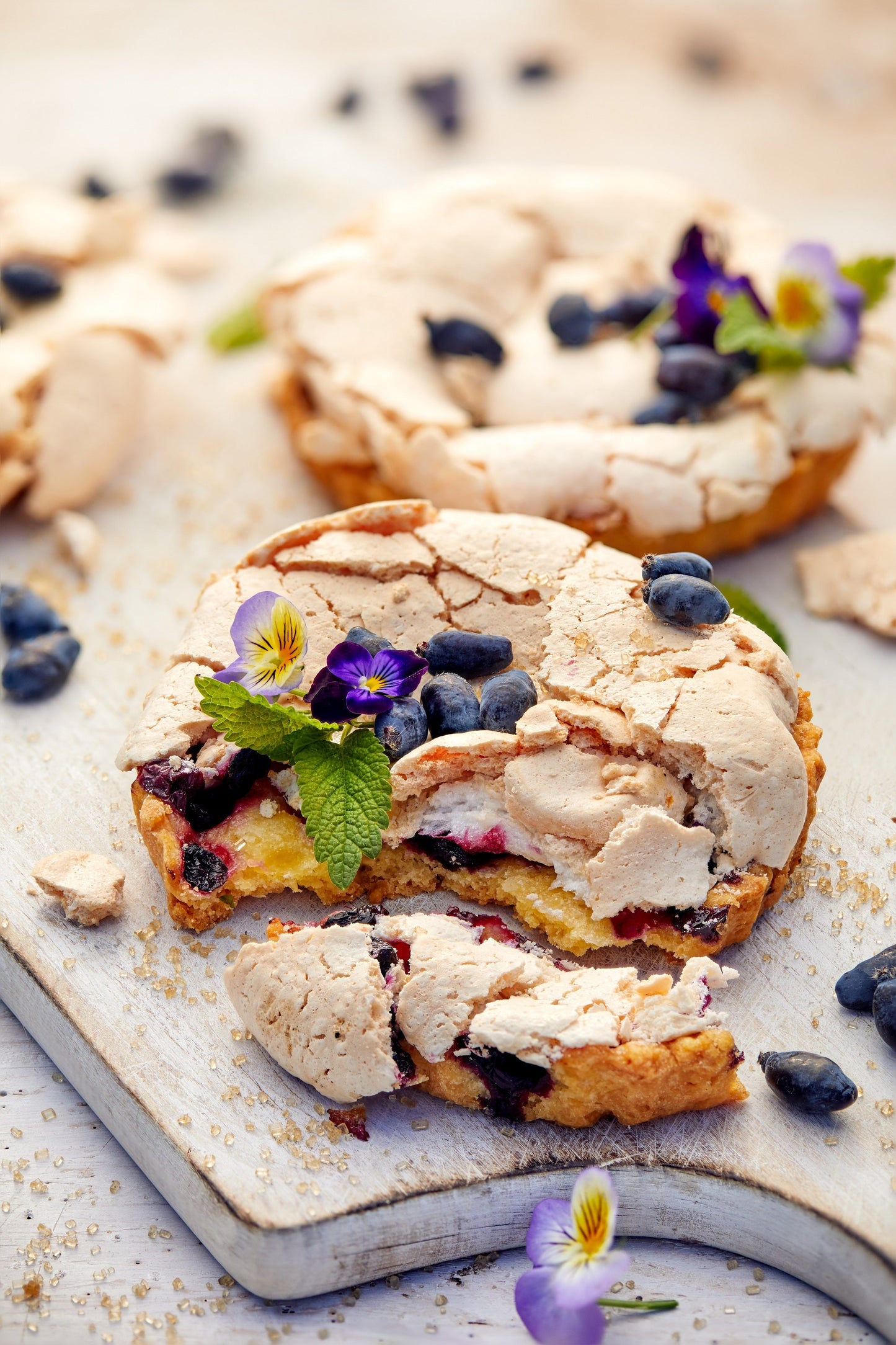 30 HONEYBERRY Blue Honeysuckle Lonicera Caerulea Edible Fruit Shrub Seeds