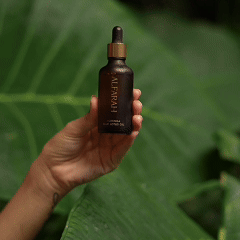 Blue Lotus Infused Moringa Oil