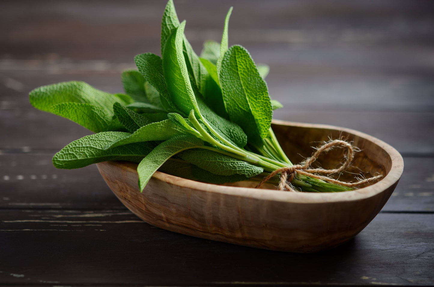 Sage Essential Oil