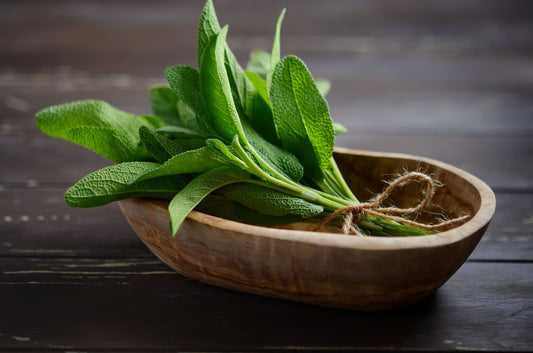 Sage Essential Oil