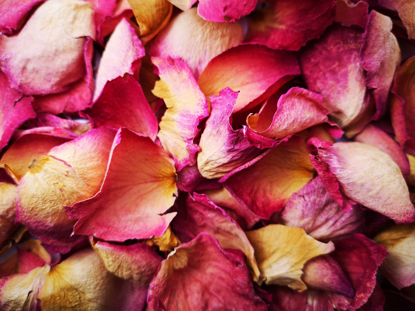 Pink Rose Petals, Whole