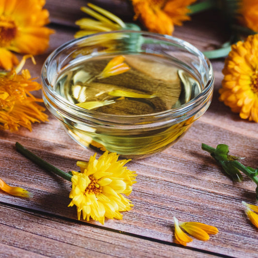 Calendula Flower Infused Oil PLUS Co2 Calendula Essential Oil