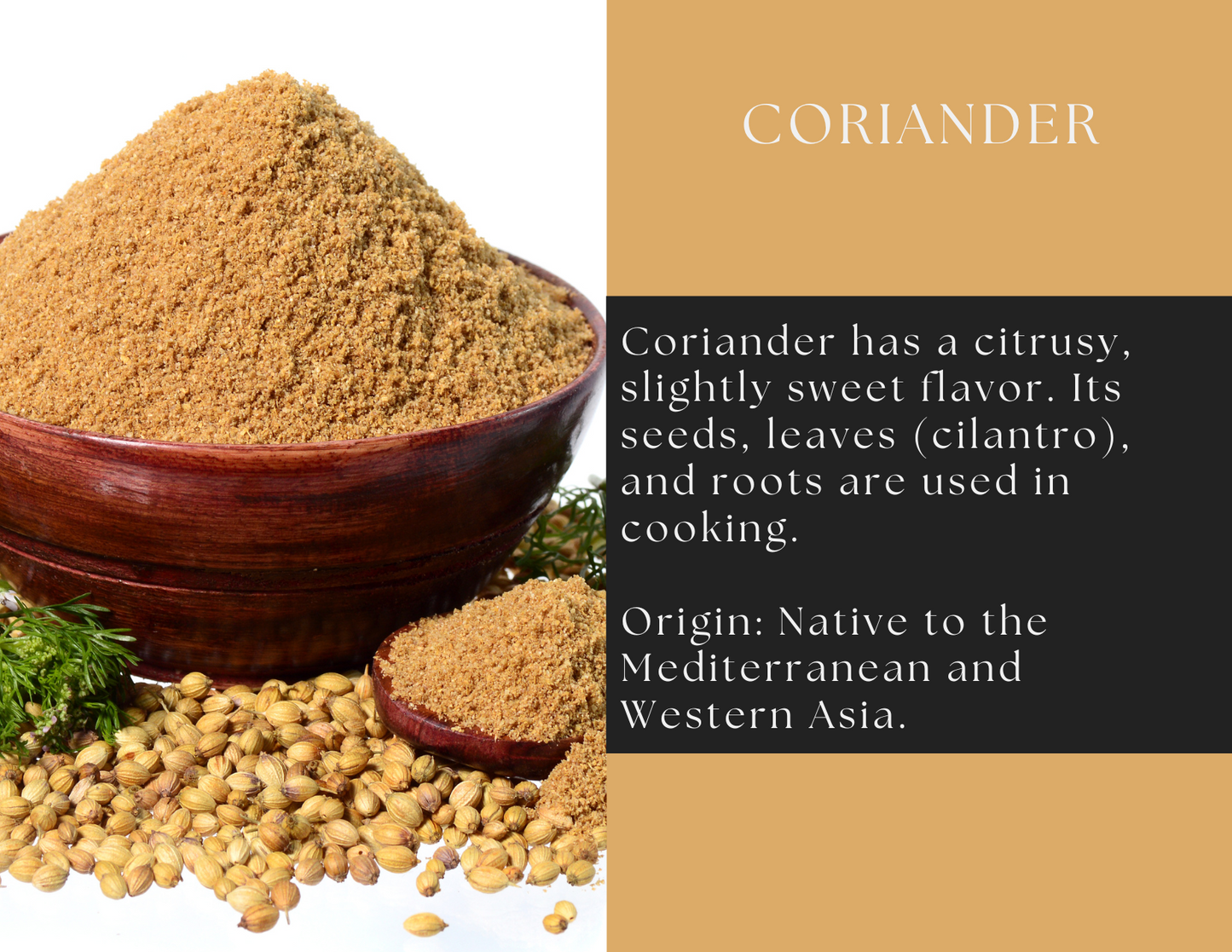 Coriander Powder