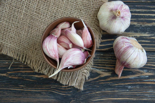 Garlic Essential Oil