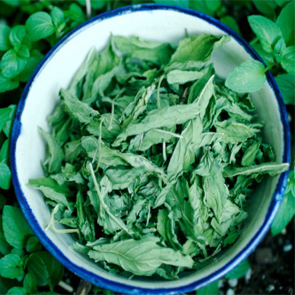 20lbs Exotic Himalayan Salt Fine Mint Infused