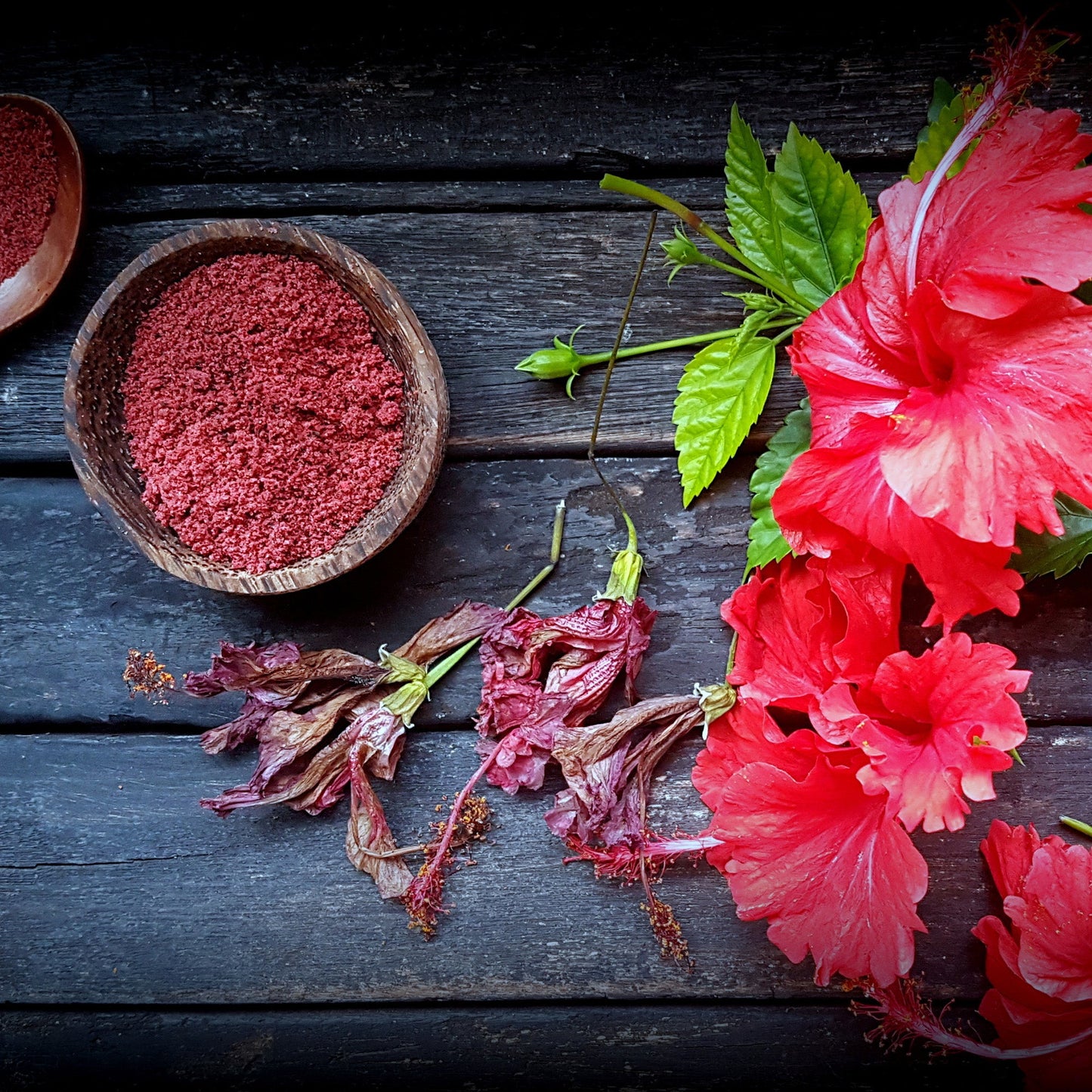 Hibiscus Powder