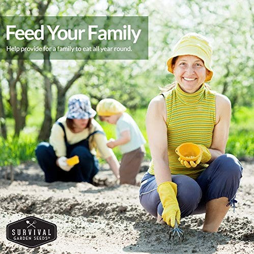 Herbal Tea Seed Collection - 5 Herbs to Grow for Herbal Tea