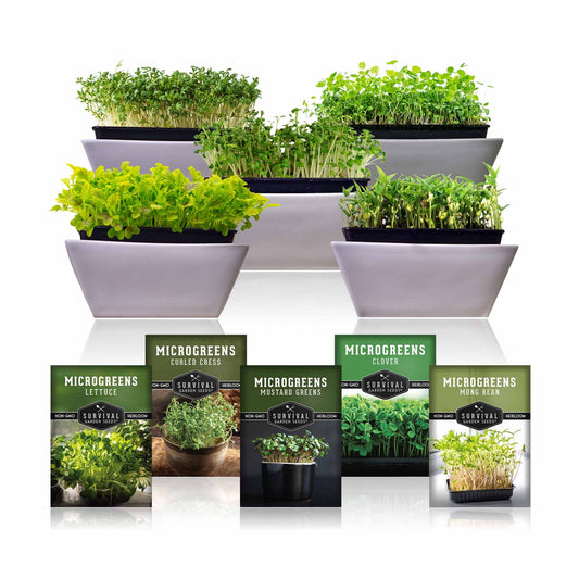 Microgreens Seeds 5 Pack