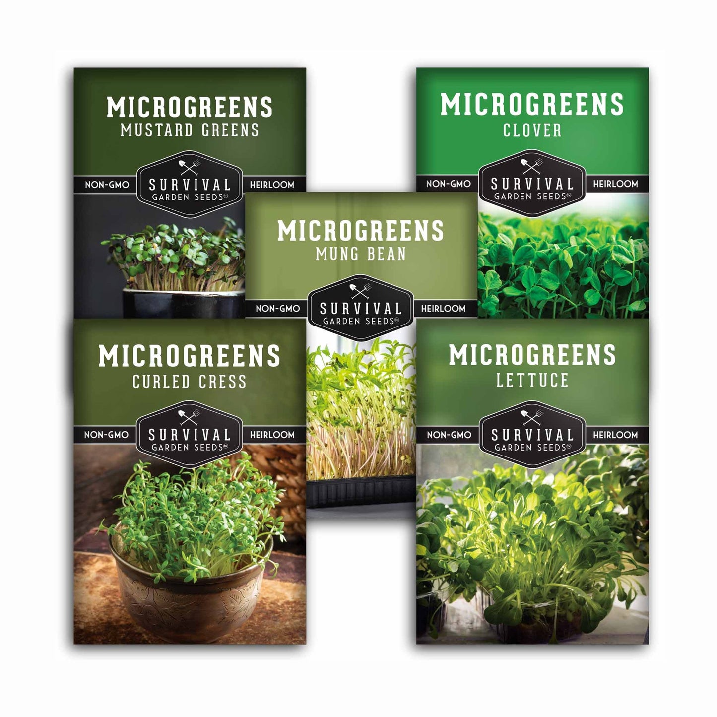 Microgreens Seeds 5 Pack