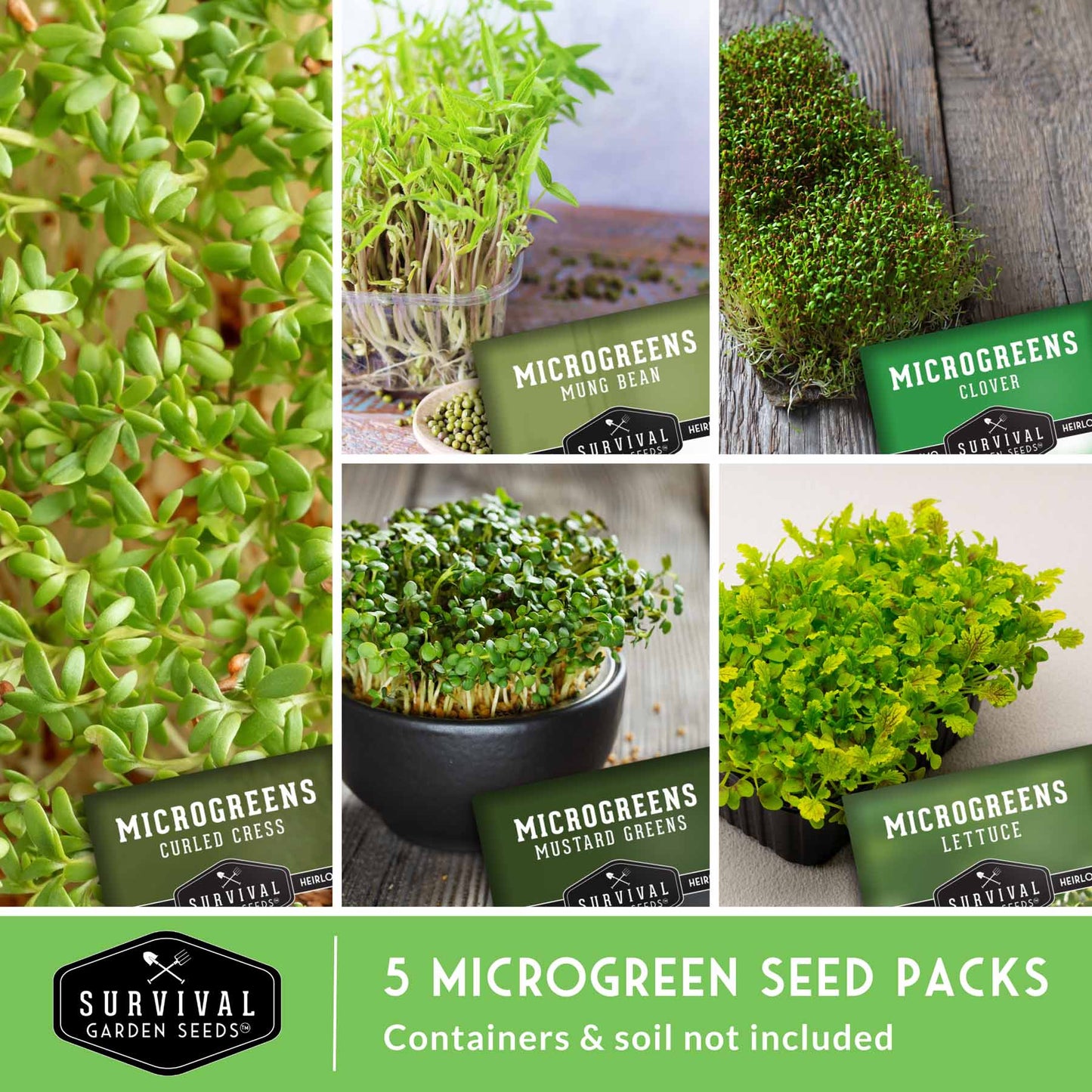 Microgreens Seeds 5 Pack