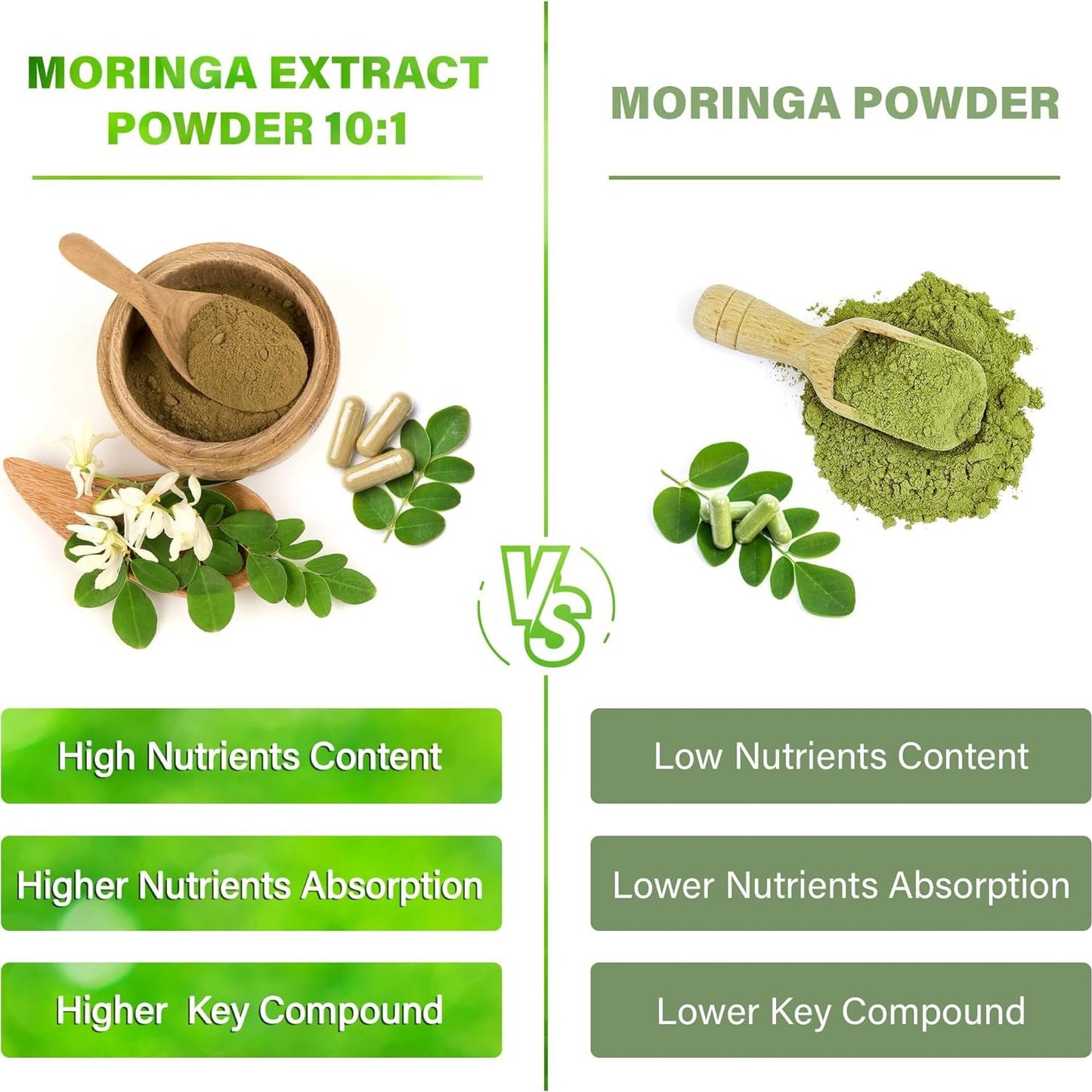 Moringa Capsules|300 Capsules