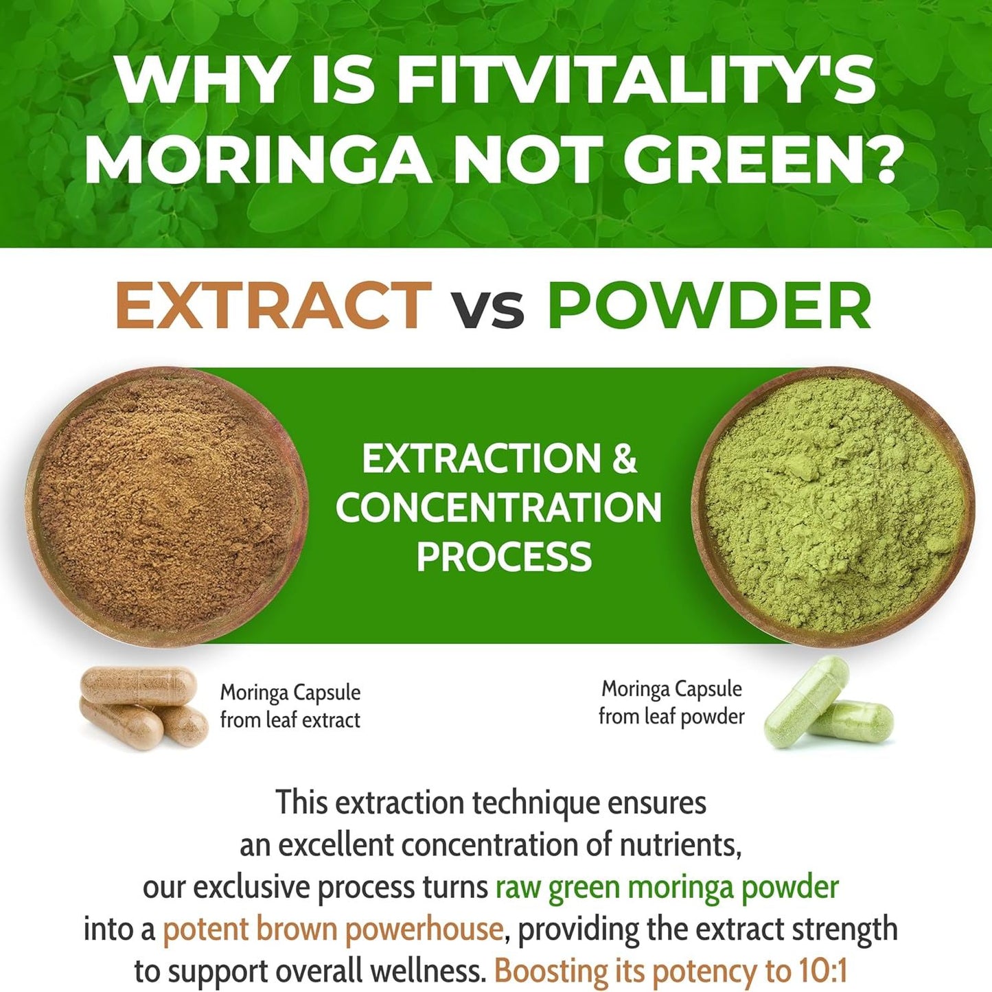Moringa Capsules|300 Capsules