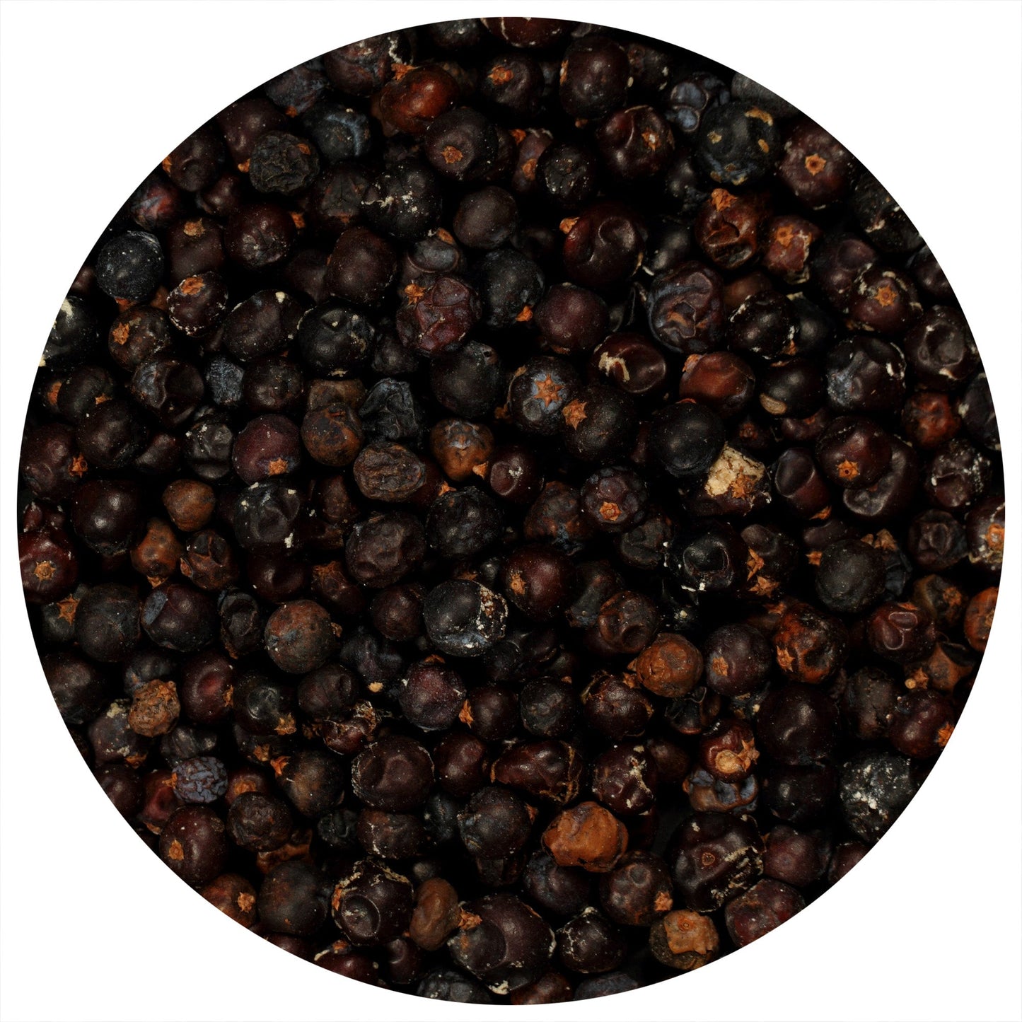 Juniper Berries (Whole)