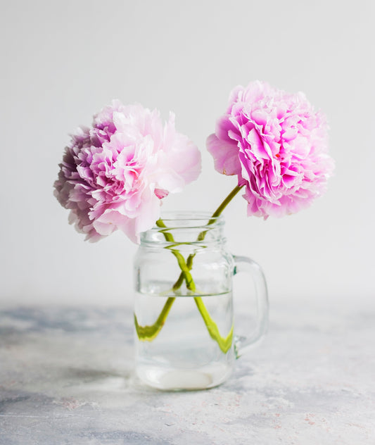 Peony Botanical Liquid Extract