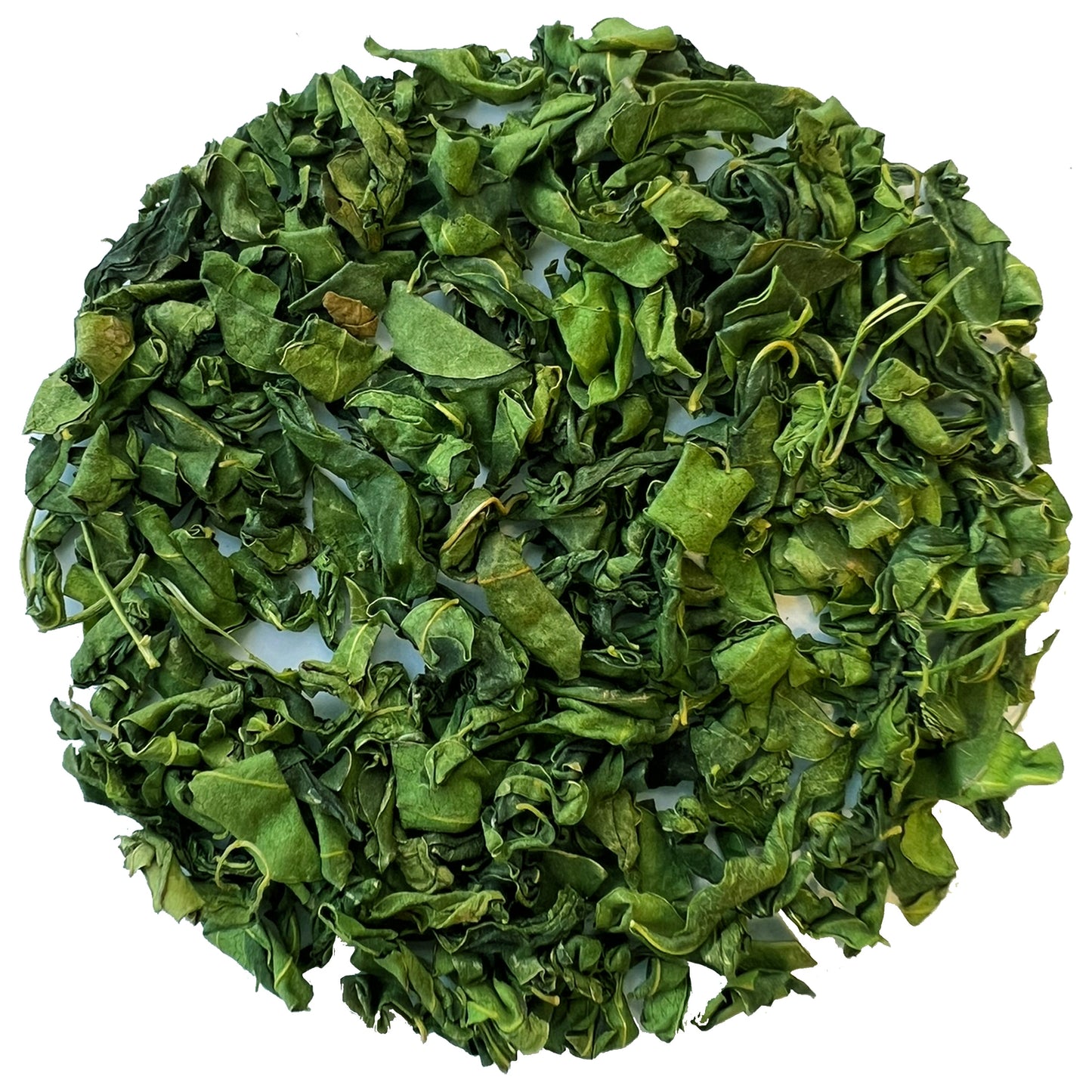 93° Himalayan Moringa Tea (Caffeine-Free Superfood Herbal Tea)